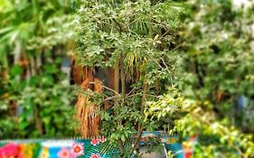 Mango Tree Ipanema Rio De Janeiro